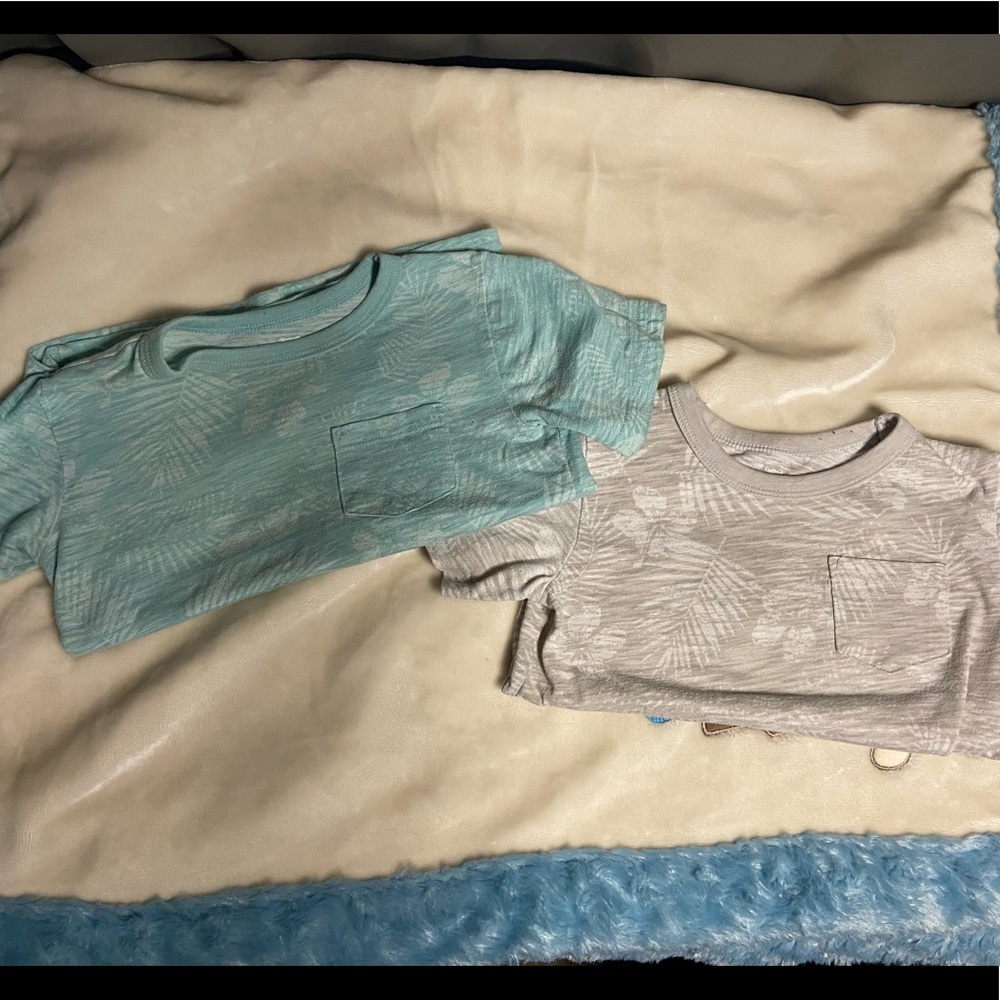 Hawaiian T bundle